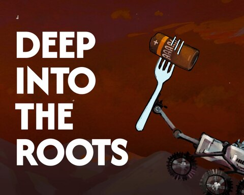 DEEP INTO THE ROOTS