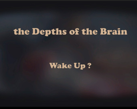 DepthBrain