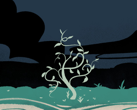 Voidwood