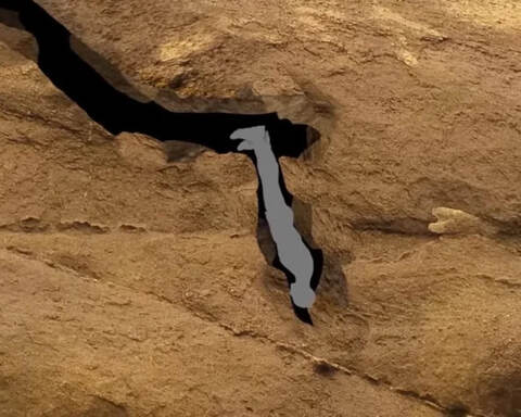 Cavediver