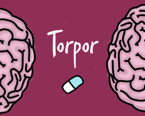 Torpor