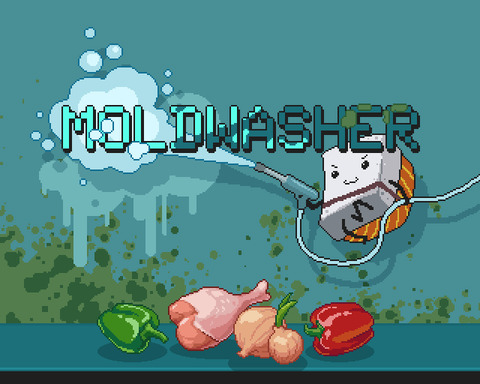 Moldwasher