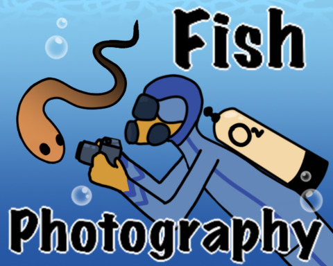 Fish Photography