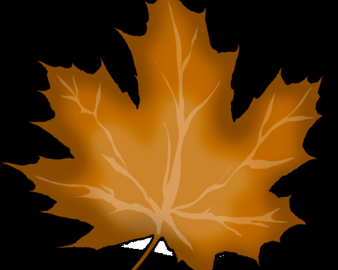 The Fall