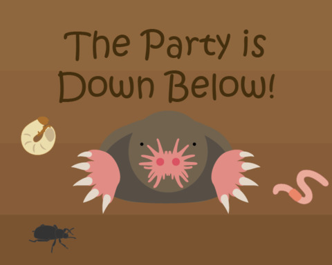 The Party is Down Below