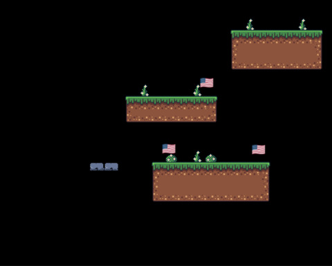 Flag Collector