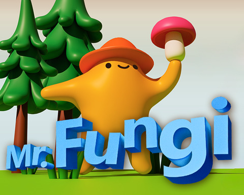 Mr. Fungi