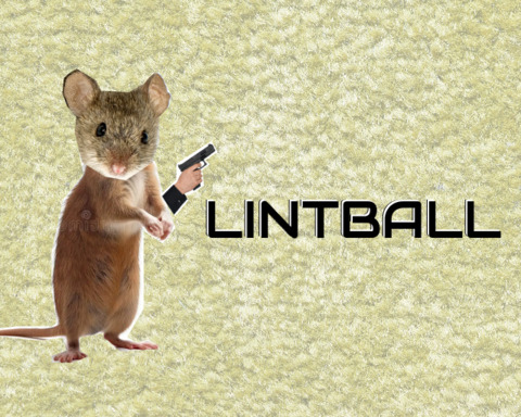 Lintball