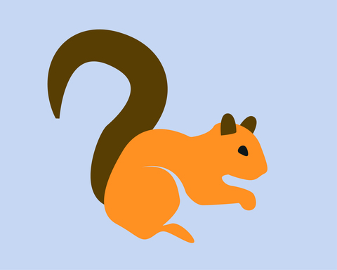 The Squirrel