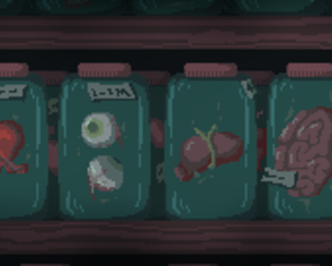 Organ Harvest