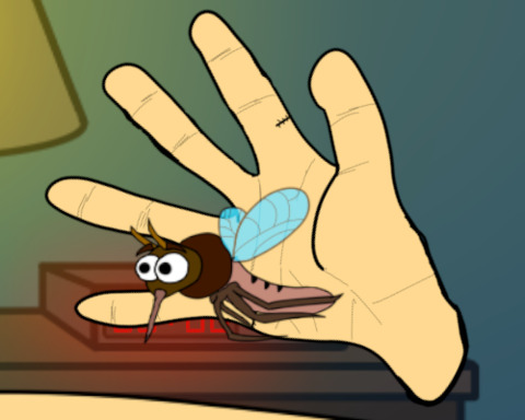 Mosquito's feast