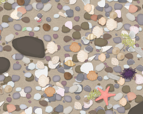 Beach Collector