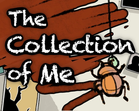 The Collection of Me - 自我图鉴