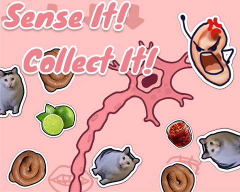 Sense It! Collect It!