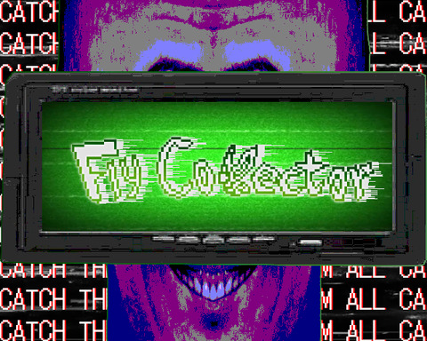 Fly Collector
