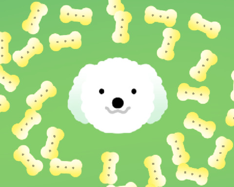 Dog Treats Collector