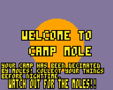 Scout Camp