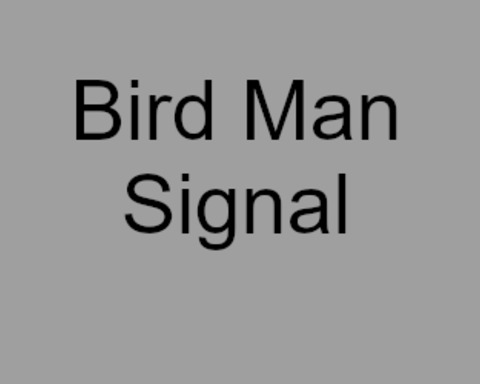 Bird Man Signal