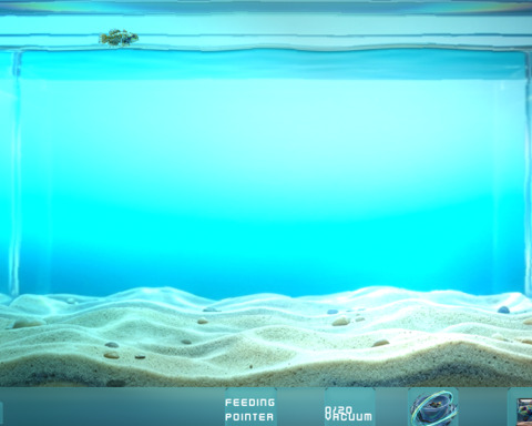 Signal Fish Tank