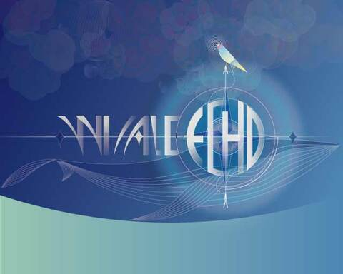 Whale Echo