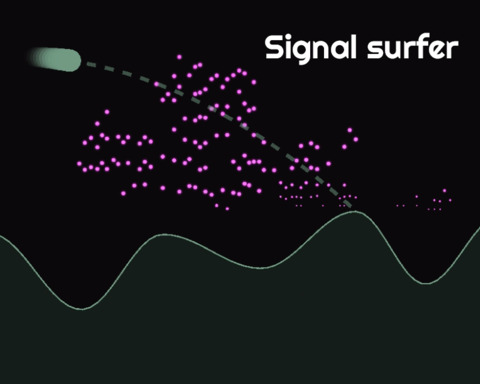 Signal surfer