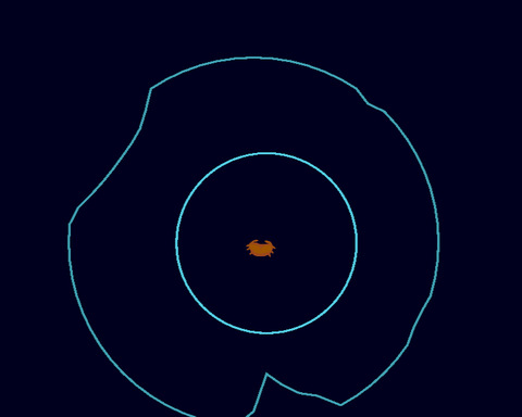 Echo