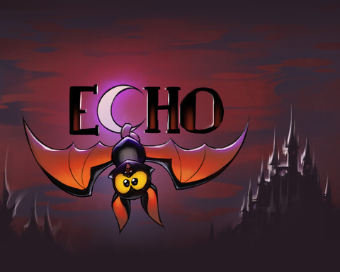 Echo