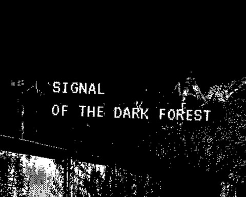 Signal of the Dark Forest