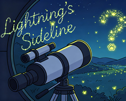 Lightning's Sideline