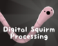 Digital Squirm Processing