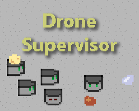 Drone Supervisor
