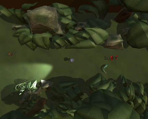 DarkWoods