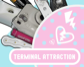 Terminal Attraction