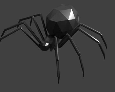 Spiders
