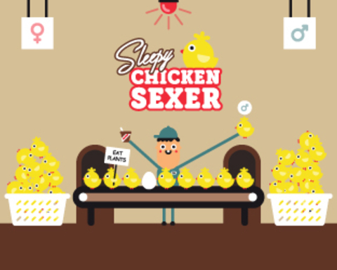 Sleepy Chicken Sexer