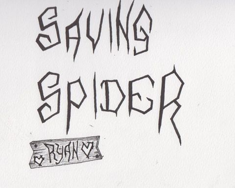 All the Spiders