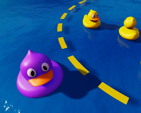 Duck Guardian