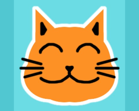 Cat Basket