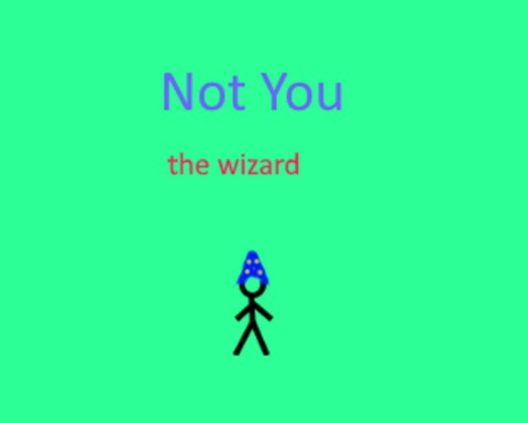 Not You, the wizard