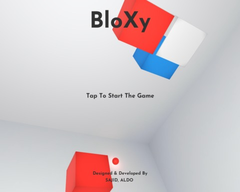 BloXy!