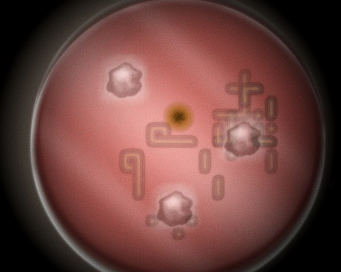Nano Life