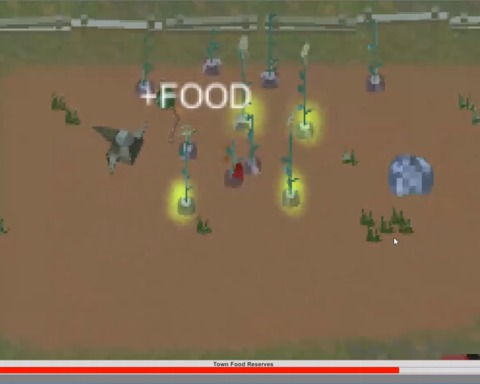 Feed