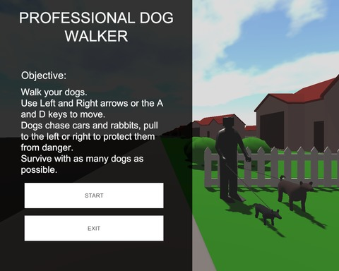 Professional Dog Walking