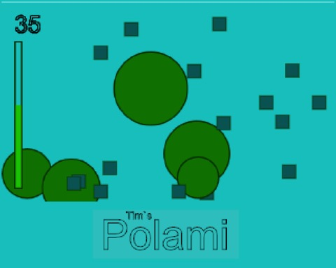POLAMI