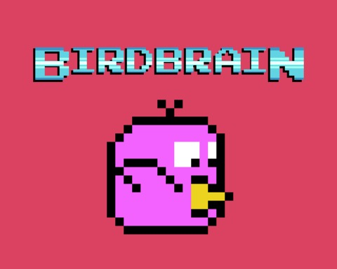 BirdBrain
