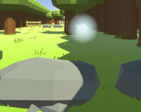 Forest run
