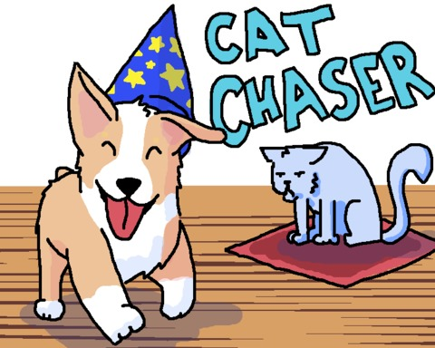 Cat Chaser