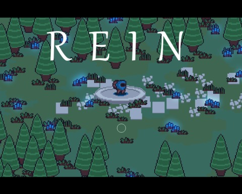 REIN