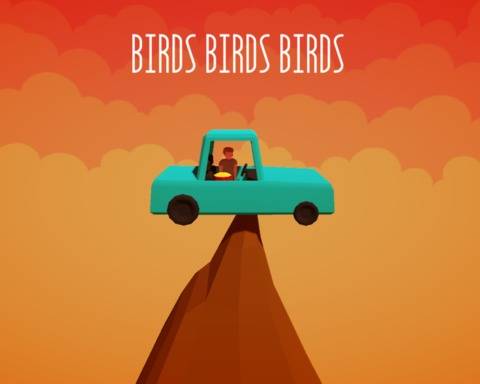 Birds Birds Birds