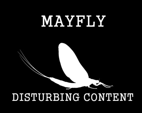 Mayfly